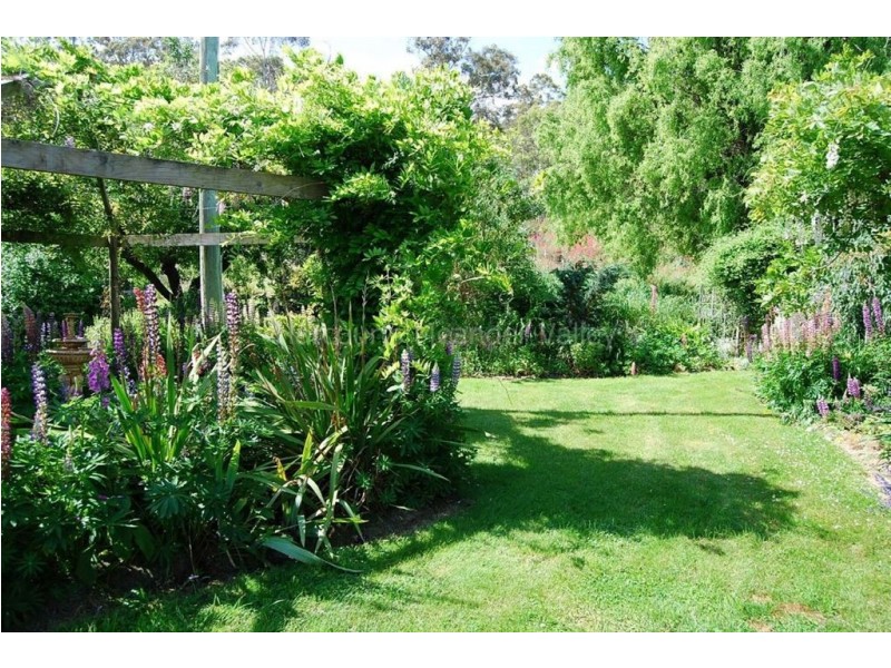 211 Farrells Road, Reedy Marsh TAS 7304