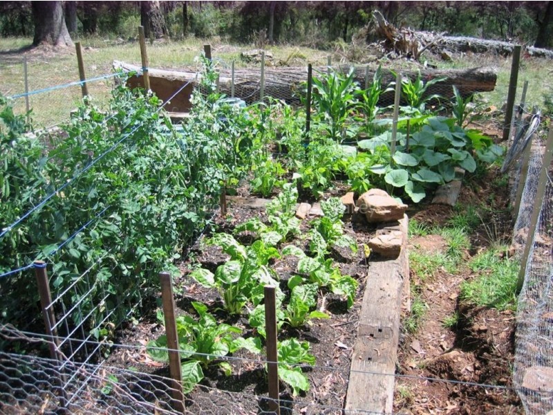 8 Hill Street, Elizabeth Town TAS 7304