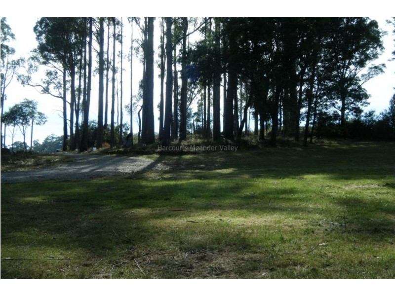 8 Hill Street, Elizabeth Town TAS 7304