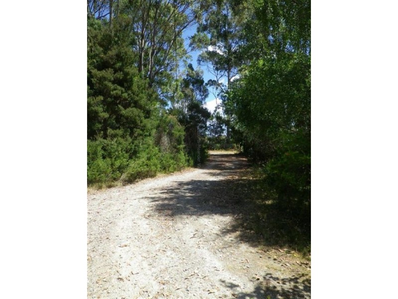 140 Christmas Hill Road, Elizabeth Town TAS 7304