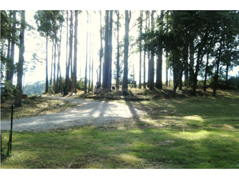 Elizabeth Town TAS 7304