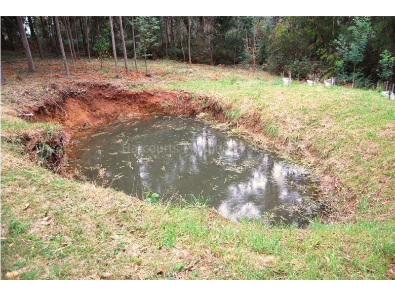 Elizabeth Town TAS 7304