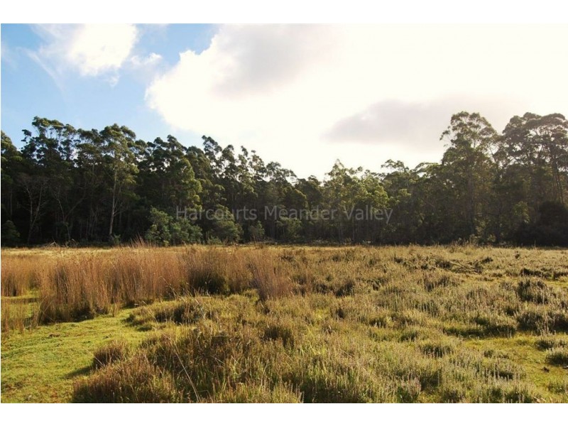 400 Larcombes Road, Reedy Marsh TAS 7304