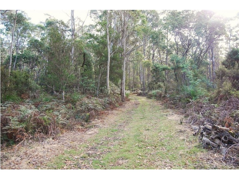 400 Larcombes Road, Reedy Marsh TAS 7304