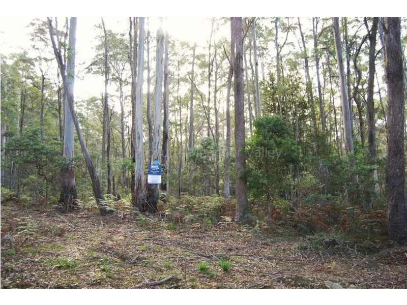 400 Larcombes Road, Reedy Marsh TAS 7304