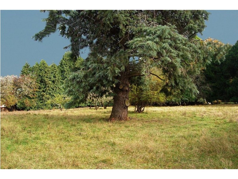 Lot 2/9 East Church Street, Deloraine TAS 7304