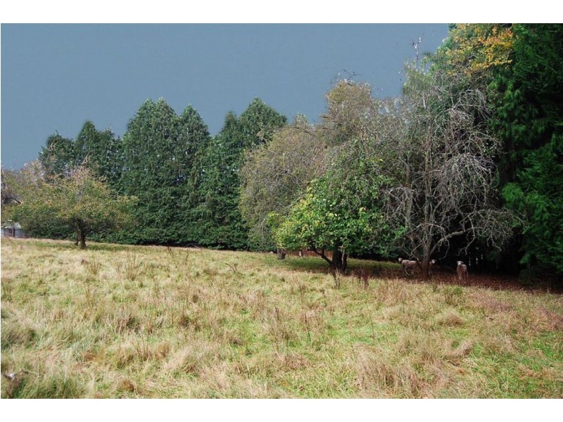 Lot 2/9 East Church Street, Deloraine TAS 7304