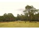 400 Larcombes Road, Reedy Marsh TAS 7304