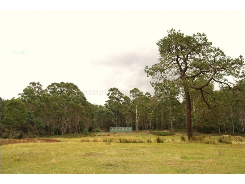 400 Larcombes Road, Reedy Marsh TAS 7304