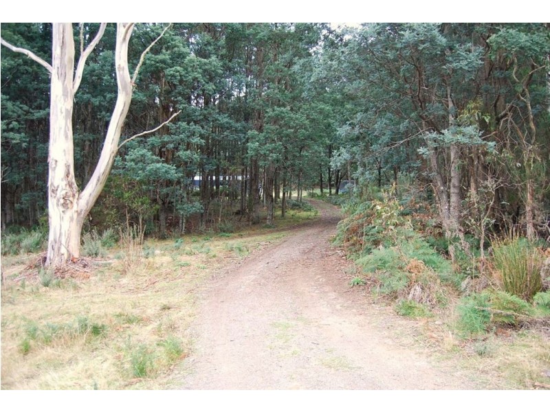 494 Bogan Road, Golden Valley TAS 7304