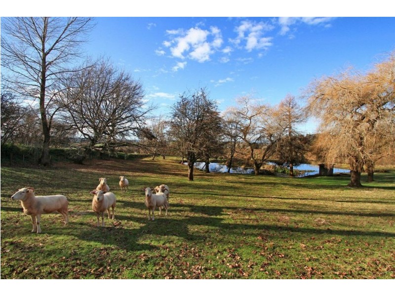 615 Mole Creek Road, Red Hills TAS 7304