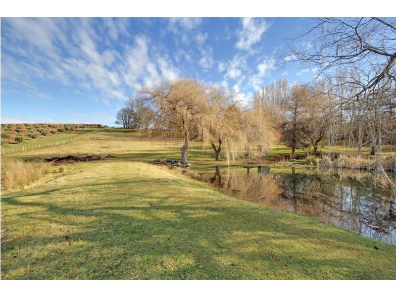 615 Mole Creek Road, Red Hills TAS 7304