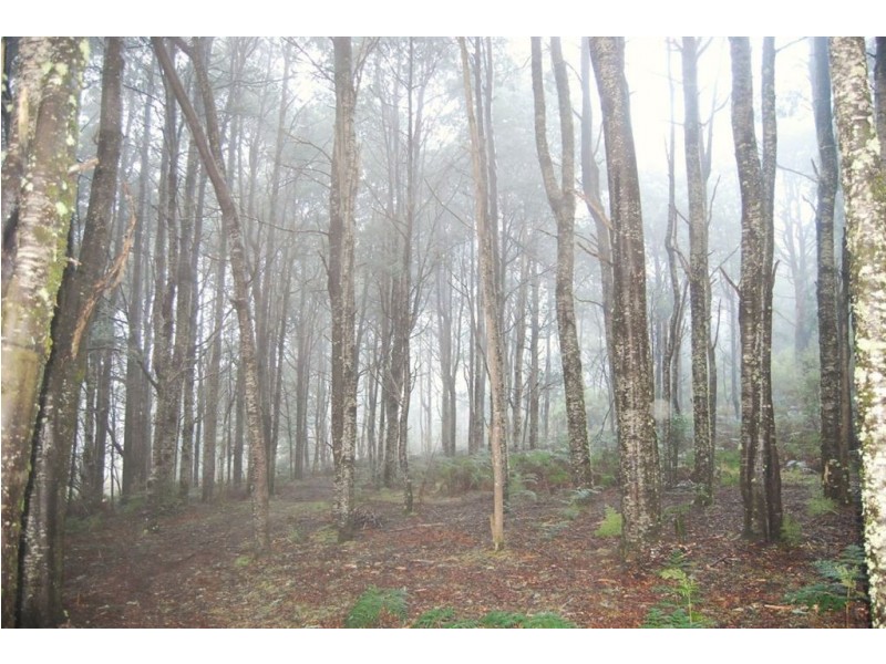 Golden Valley TAS 7304