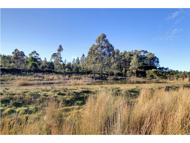 619 Weetah Road, Weetah TAS 7304