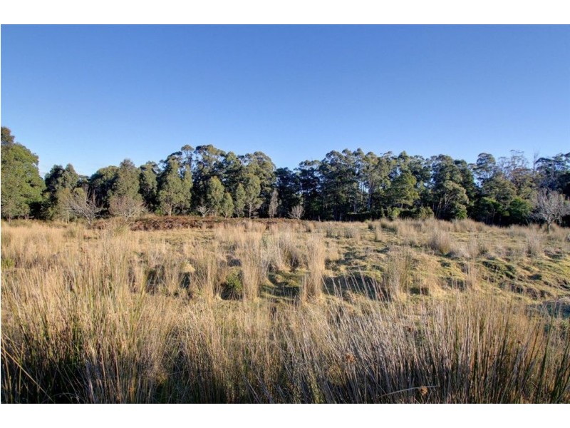 619 Weetah Road, Weetah TAS 7304
