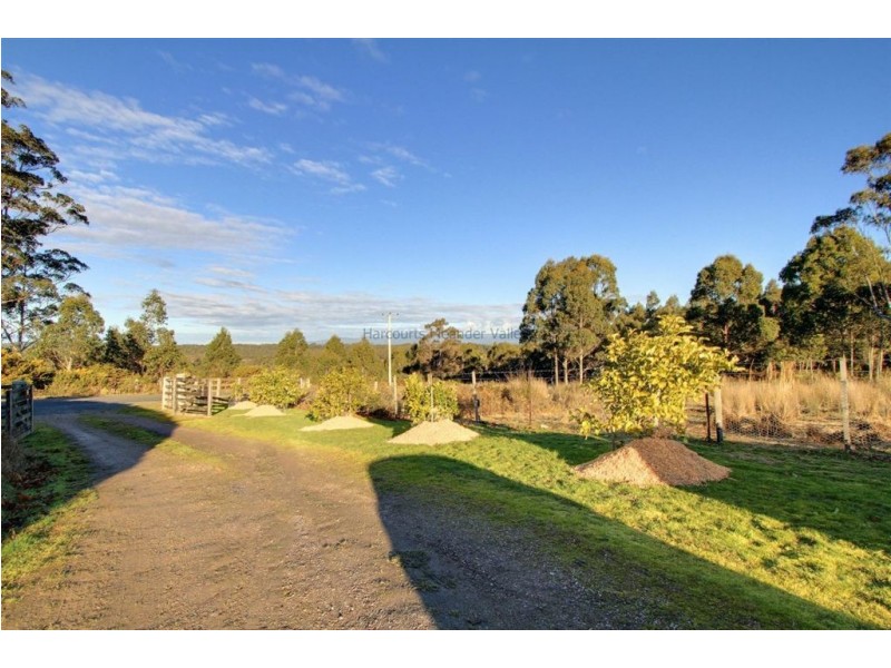 619 Weetah Road, Weetah TAS 7304