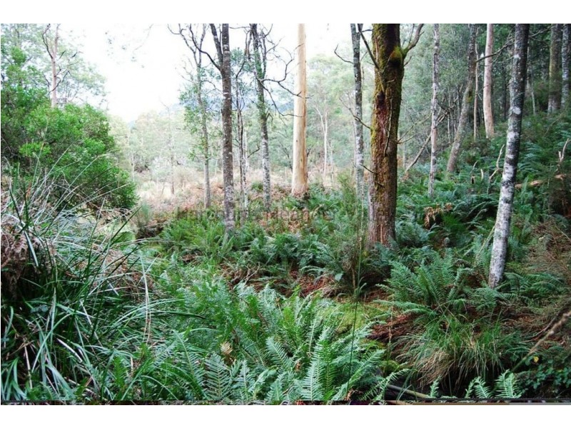 236 Beaumonts Road, Dunorlan TAS 7304