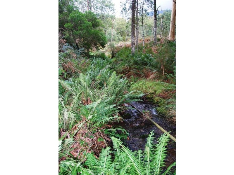 236 Beaumonts Road, Dunorlan TAS 7304