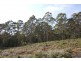 0 Highland Lakes Road, Golden Valley TAS 7304