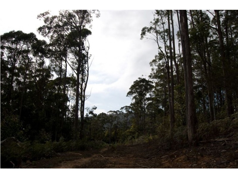 0 Highland Lakes Road, Golden Valley TAS 7304