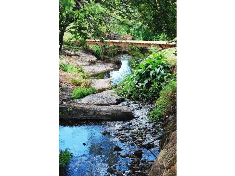 96 Pioneer Drive, Mole Creek TAS 7304