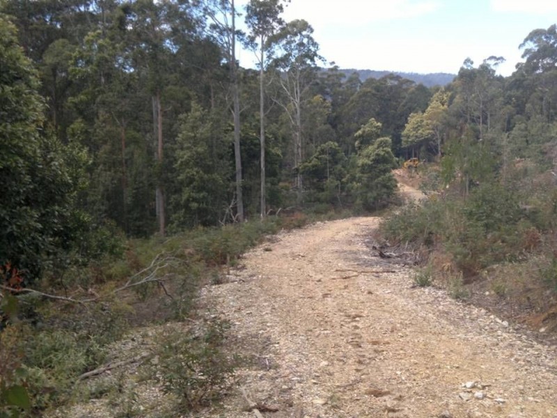 13175 Highland Lakes Road, Golden Valley TAS 7304