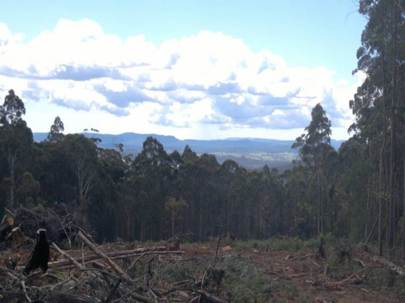 13175 Highland Lakes Road, Golden Valley TAS 7304