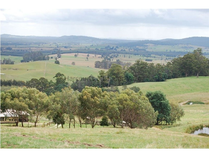 Parkham TAS 7304