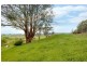 273 Coxs Road, Red Hills TAS 7304
