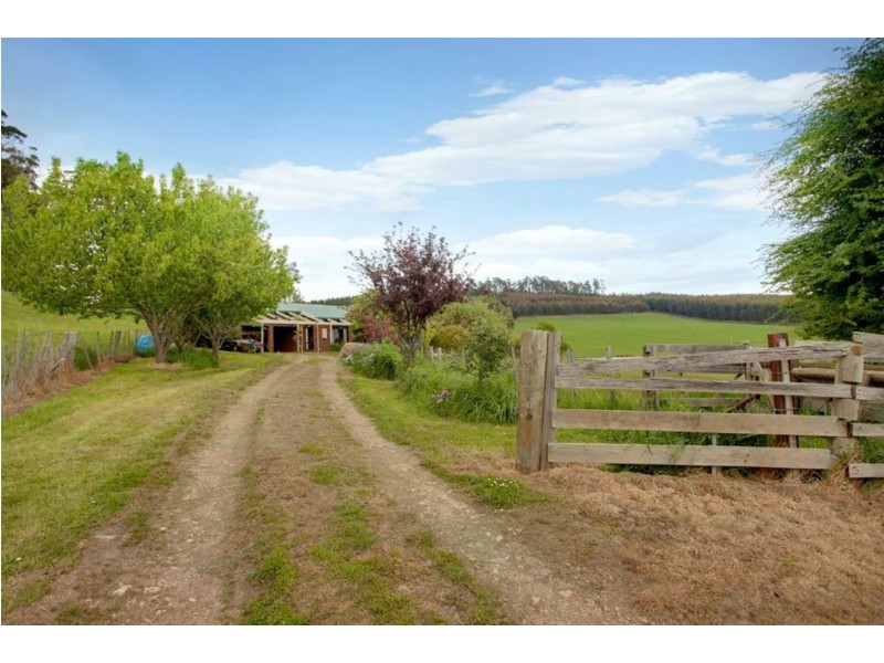 273 Cox’s Road, Red Hills TAS 7304