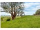 273 Cox’s Road, Red Hills TAS 7304