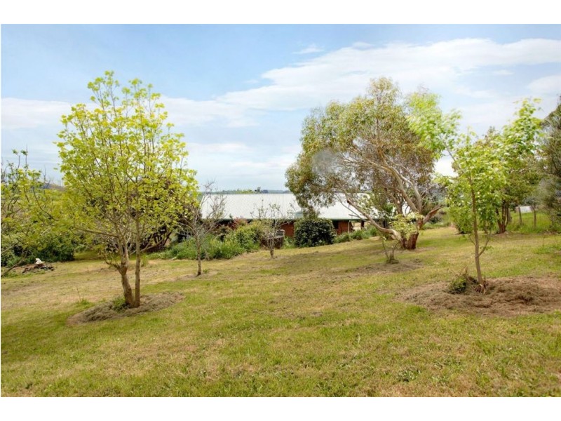 273 Cox’s Road, Red Hills TAS 7304