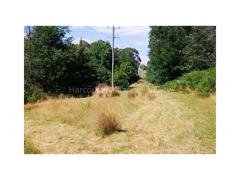 199 Samuel Street, Elizabeth Town TAS 7304