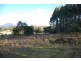 340 Quamby Brook Rd, Quamby Brook TAS 7304