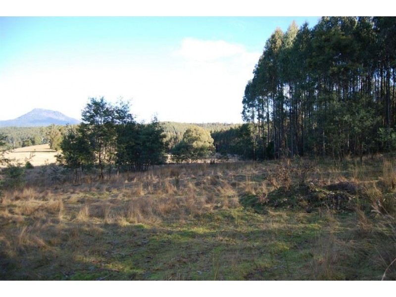 340 Quamby Brook Rd, Quamby Brook TAS 7304