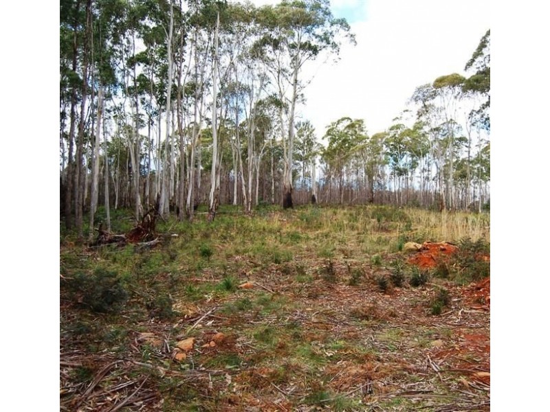 538 River Road, Reedy Marsh TAS 7304