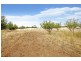 7 Caveside Road, Mole Creek TAS 7304