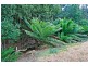13101 Highland Lakes Road, Golden Valley TAS 7304