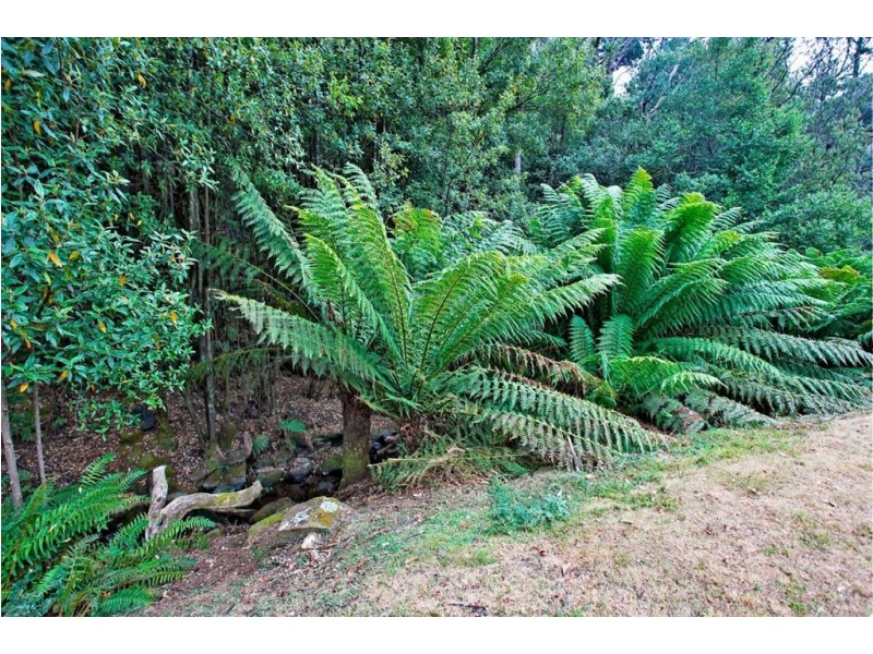 13101 Highland Lakes Road, Golden Valley TAS 7304