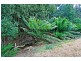 13101 Highland Lake Road, Golden Valley TAS 7304