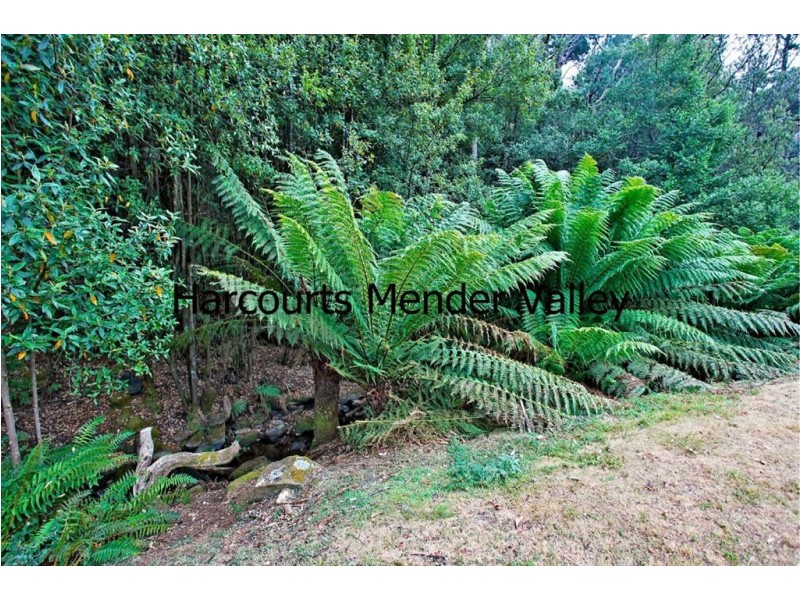 13101 Highland Lake Road, Golden Valley TAS 7304