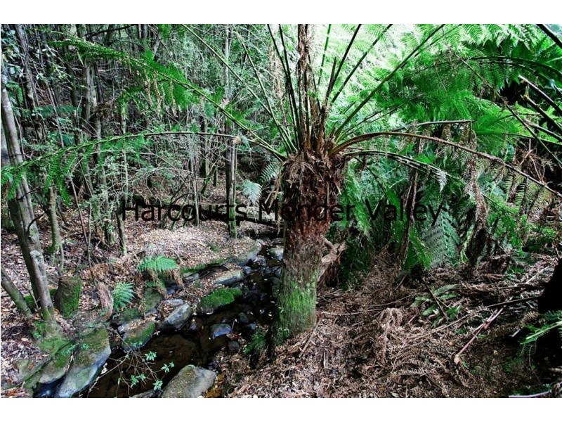 13101 Highland Lake Road, Golden Valley TAS 7304