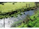 30 Pioneer Drive, Mole Creek TAS 7304