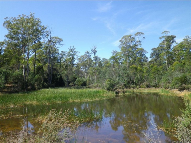 76 Saddlers Run Road, Reedy Marsh TAS 7304