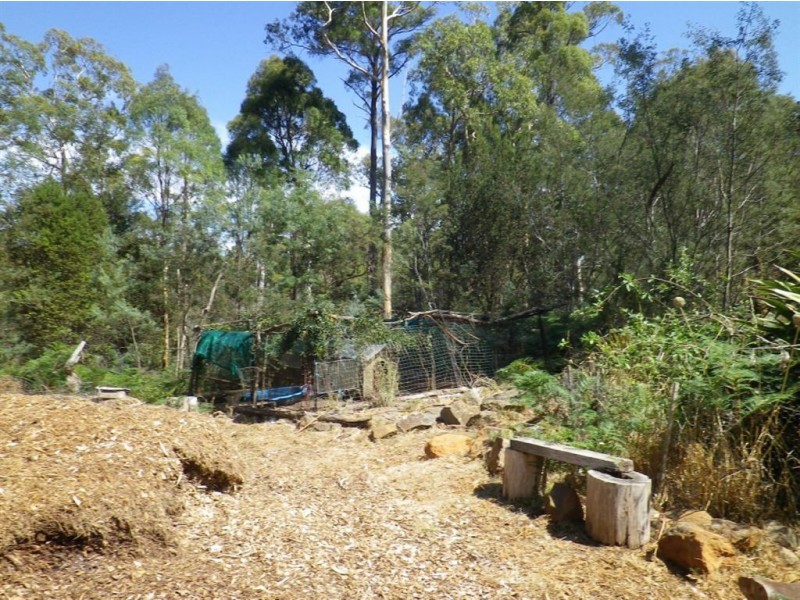 76 Saddlers Run Road, Reedy Marsh TAS 7304