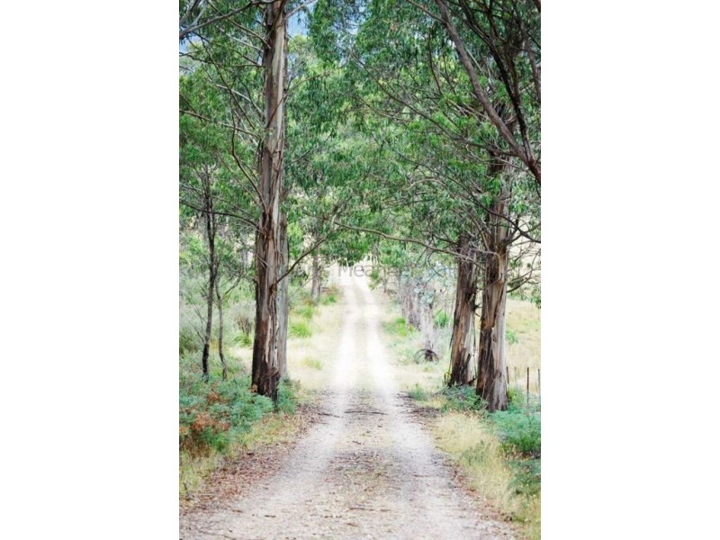 969 Liena Road, Mole Creek TAS 7304