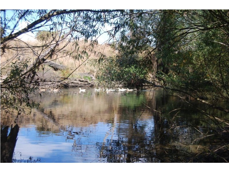 170 River Road, Deloraine TAS 7304