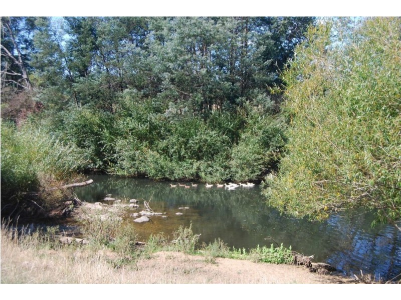 170 River Road, Deloraine TAS 7304