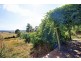 24 East Parkham Road, Elizabeth Town TAS 7304
