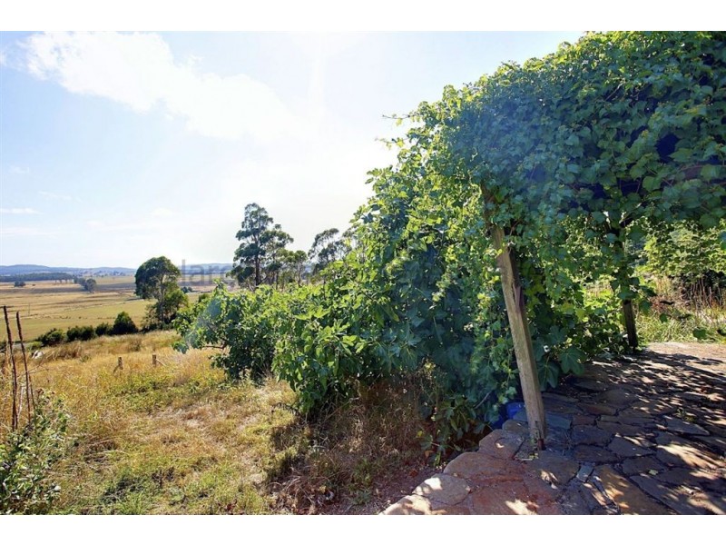 24 East Parkham Road, Elizabeth Town TAS 7304